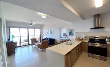 Punta Caelo 2 Bedroom Ocean Front Condo