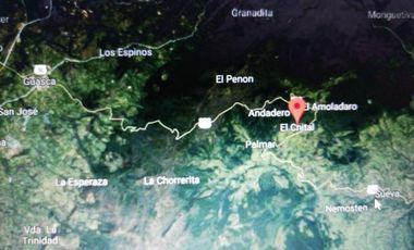 finca en venta en guasca. Cod V3872