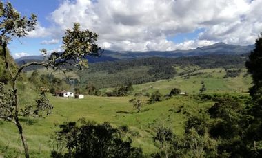 finca en venta en guasca. Cod V3872