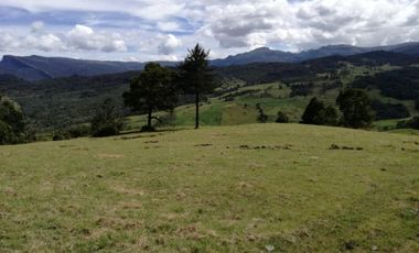 finca en venta en guasca. Cod V3872