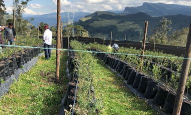 finca en venta en guasca. Cod V3872