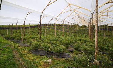 finca en venta en guasca. Cod V3872