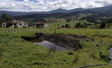 finca en venta en guasca. Cod V3872
