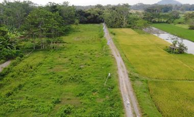 WOW..RUMAH MURAH KONSEP SKANDINAVIAN DI GODEAN SLEMAN