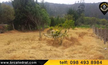 Casa de venta en Chuquipata – código:11255