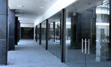 PLAZA COMERCIAL EN AV GOBERNADORES METEPEC