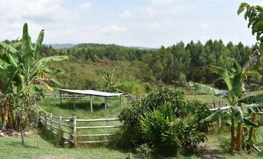 VENDO LOTE JAMUNDI GUACHINTE 70040 MTRS