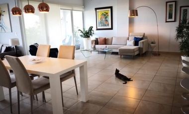 ALQUILER APARTAMENTO AMADOR