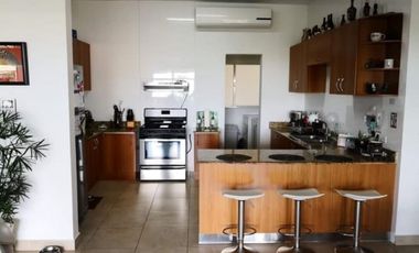 ALQUILER APARTAMENTO AMADOR