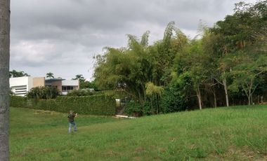 LOTE EN VENTA CERRITOS/PEREIRA