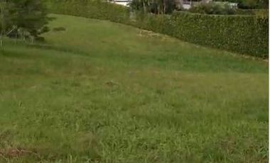 LOTE EN VENTA CERRITOS/PEREIRA