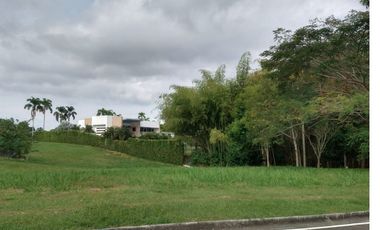 LOTE EN VENTA CERRITOS/PEREIRA