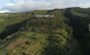 Dijual Tanah Cocok Untuk Resort Atau Villa Di Lembang Bandung