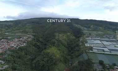 Dijual Tanah Cocok Untuk Resort Atau Villa Di Lembang Bandung