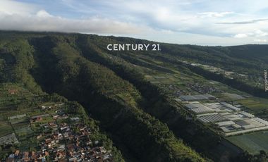 Dijual Tanah Cocok Untuk Resort Atau Villa Di Lembang Bandung