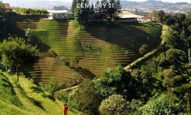 Dijual Tanah Cocok Untuk Resort Atau Villa Di Lembang Bandung