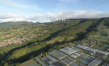 Dijual Tanah Cocok Untuk Resort Atau Villa Di Lembang Bandung