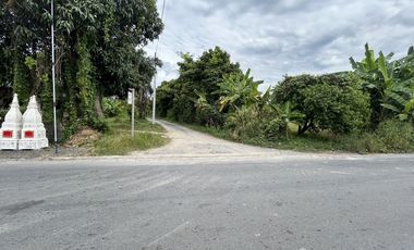Land for sale in Pa Kha, Nakhon Nayok