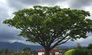 lote en venta en fusagasugá. Cod V4145