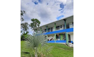 Venta Finca Productiva El Caimo Armenia