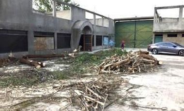 Bodega / Terreno en venta en Chalco
