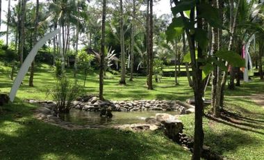 DIJUAL CEPAT VILLA DEWA,JEMBRANA,PEKUTATAN,BALI