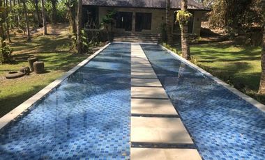 DIJUAL CEPAT VILLA DEWA,JEMBRANA,PEKUTATAN,BALI