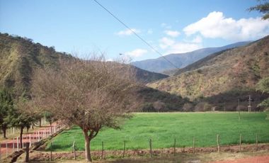2.800 ha