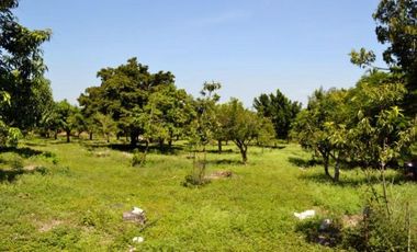 Casa Terreno Finca Huerta con  Alberca Cancha de Tenis, Todos los Servicios
