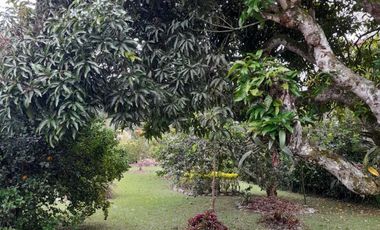 casa campestre en venta en fusagasuga. Cod V12403