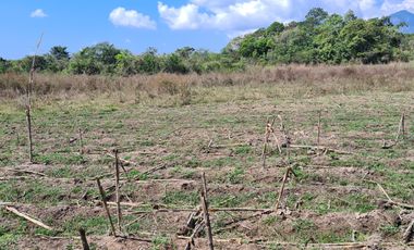 EN VENTA RANCHO CERCA DE ACAPULCO POBLACION DENOMINADA LA PROVIDENCIA