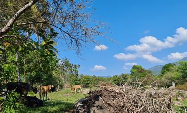 EN VENTA RANCHO CERCA DE ACAPULCO POBLACION DENOMINADA LA PROVIDENCIA
