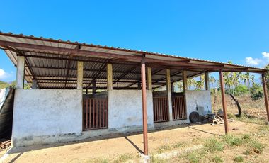 EN VENTA RANCHO CERCA DE ACAPULCO POBLACION DENOMINADA LA PROVIDENCIA
