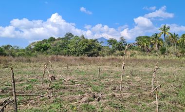 EN VENTA RANCHO CERCA DE ACAPULCO POBLACION DENOMINADA LA PROVIDENCIA