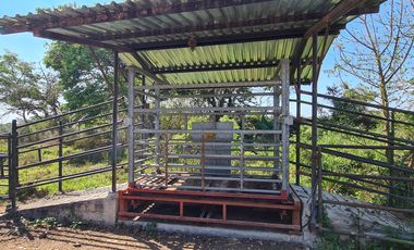 EN VENTA RANCHO CERCA DE ACAPULCO POBLACION DENOMINADA LA PROVIDENCIA