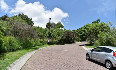 La noria: terreno en calle adoquinada