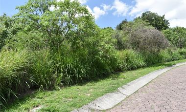 La noria: terreno en calle adoquinada