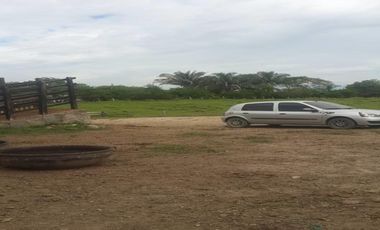 FINCA GANADERA-ARROCERA EN SAN LUIS TOLIMA