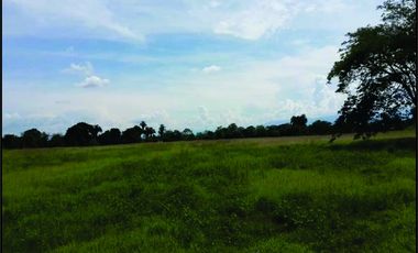 FINCA GANADERA-ARROCERA EN SAN LUIS TOLIMA