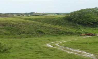 FINCA GANADERA-ARROCERA EN SAN LUIS TOLIMA