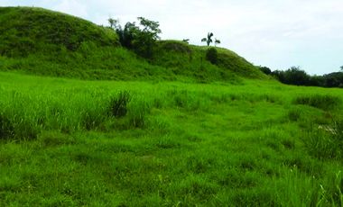 FINCA GANADERA-ARROCERA EN SAN LUIS TOLIMA