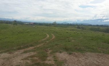FINCA GANADERA-ARROCERA EN SAN LUIS TOLIMA