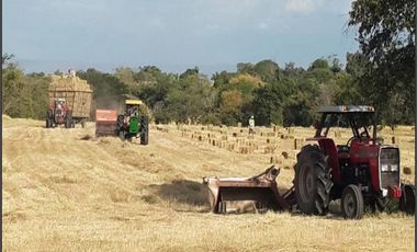 FINCA GANADERA-ARROCERA EN SAN LUIS TOLIMA