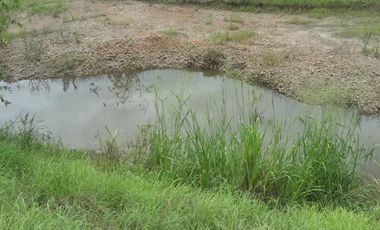 FINCA GANADERA-ARROCERA EN SAN LUIS TOLIMA