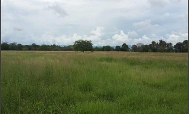 FINCA GANADERA-ARROCERA EN SAN LUIS TOLIMA
