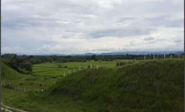 FINCA GANADERA-ARROCERA EN SAN LUIS TOLIMA