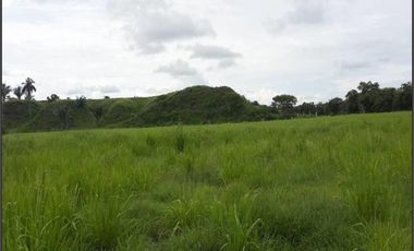 FINCA GANADERA-ARROCERA EN SAN LUIS TOLIMA