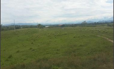 FINCA GANADERA-ARROCERA EN SAN LUIS TOLIMA