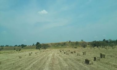 FINCA GANADERA-ARROCERA EN SAN LUIS TOLIMA