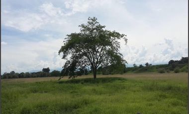 FINCA GANADERA-ARROCERA EN SAN LUIS TOLIMA